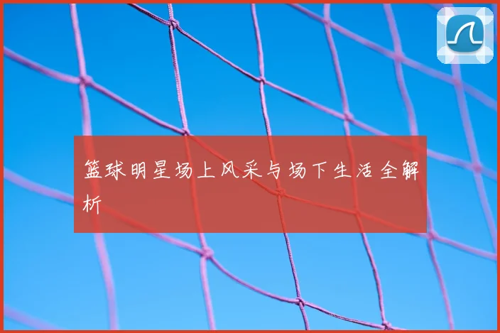 篮球明星场上风采与场下生活全解析