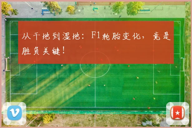 从干地到湿地:F1轮胎变化,竟是胜负关键!